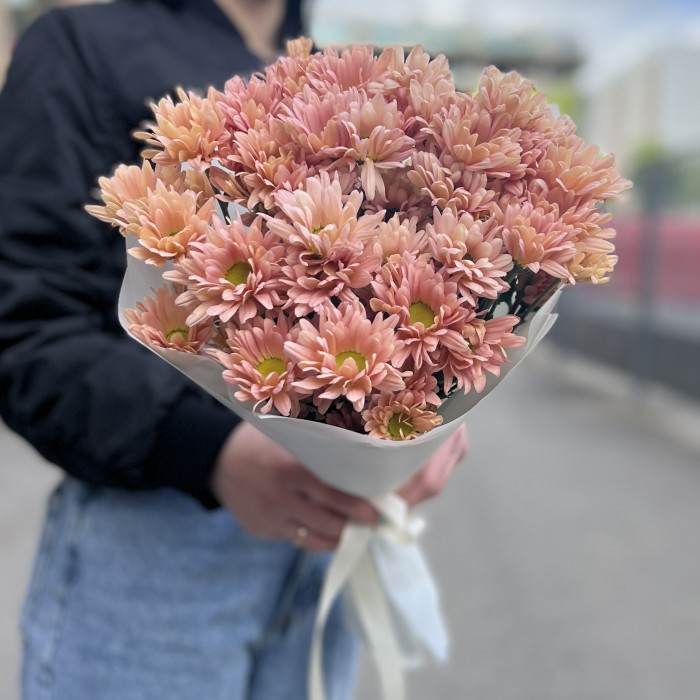 5 персиковых кустовых хризантем Салмон