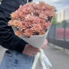 5 персиковых кустовых хризантем Салмон