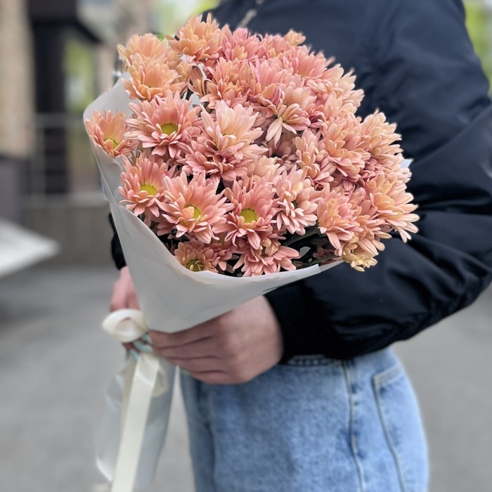 5 персиковых кустовых хризантем Салмон