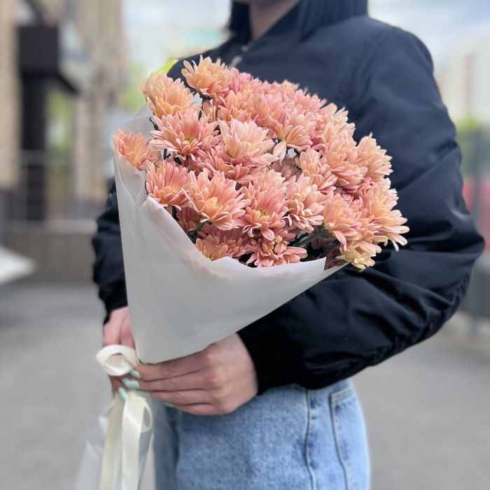 5 персиковых кустовых хризантем Салмон