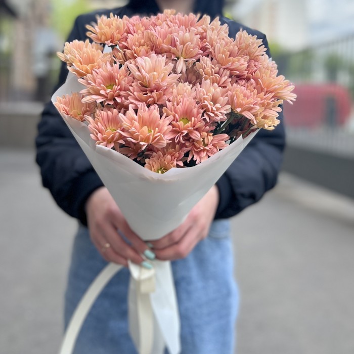 5 персиковых кустовых хризантем Салмон