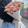 5 персиковых кустовых хризантем Салмон