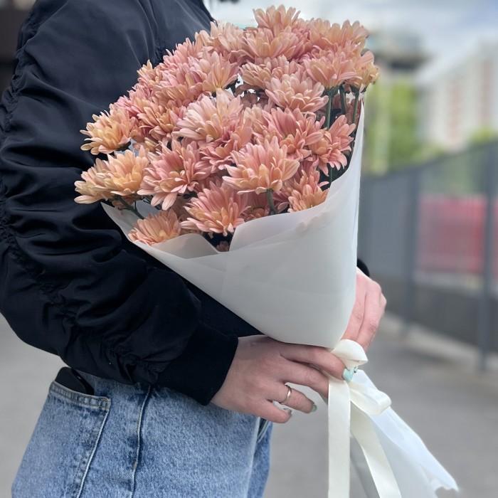 5 персиковых кустовых хризантем Салмон