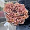 5 персиковых кустовых хризантем Салмон