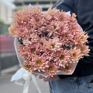 5 персиковых кустовых хризантем Салмон 5 персиковых кустовых хризантем Салмон