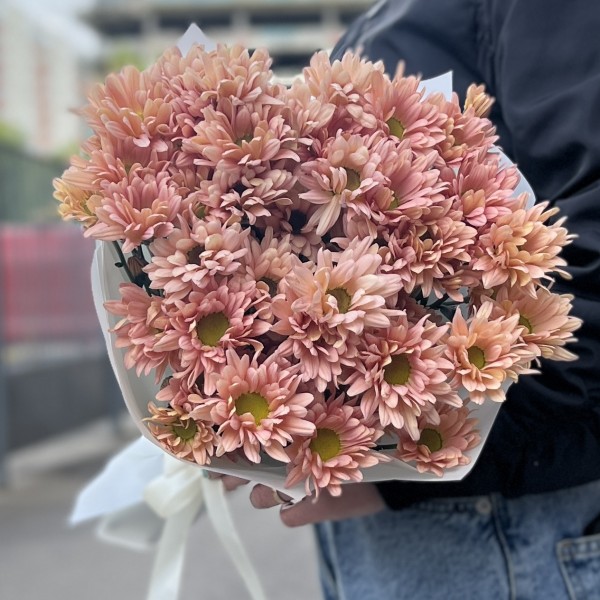 5 персиковых кустовых хризантем Салмон