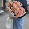 7 персиковых кустовых хризантем Салмон