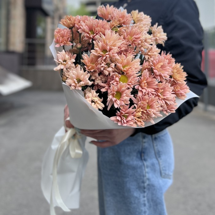 7 персиковых кустовых хризантем Салмон