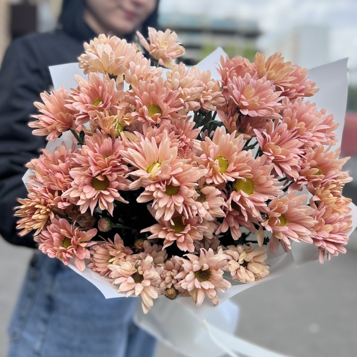 7 персиковых кустовых хризантем Салмон