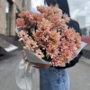 7 персиковых кустовых хризантем Салмон