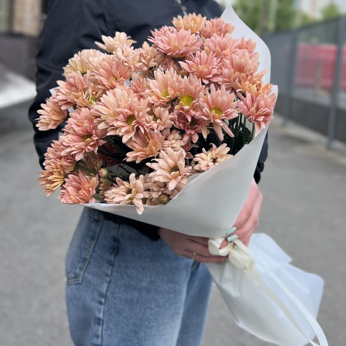 7 персиковых кустовых хризантем Салмон