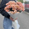 7 персиковых кустовых хризантем Салмон