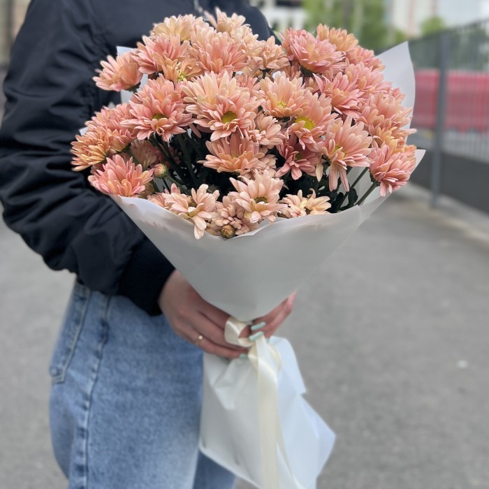 7 персиковых кустовых хризантем Салмон