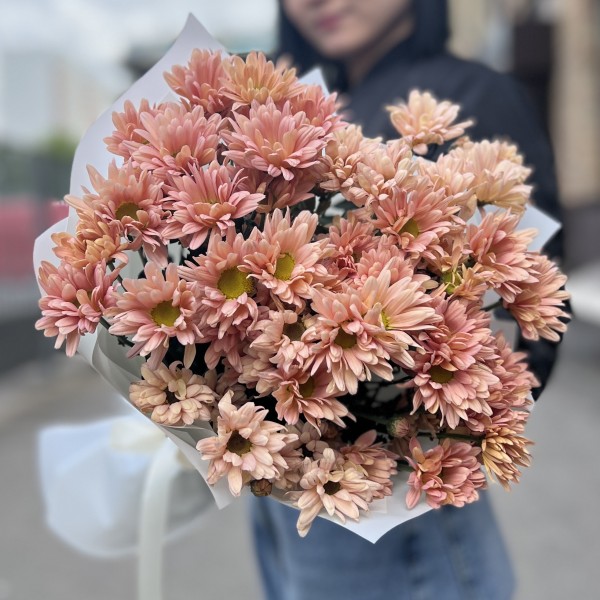 7 персиковых кустовых хризантем Салмон