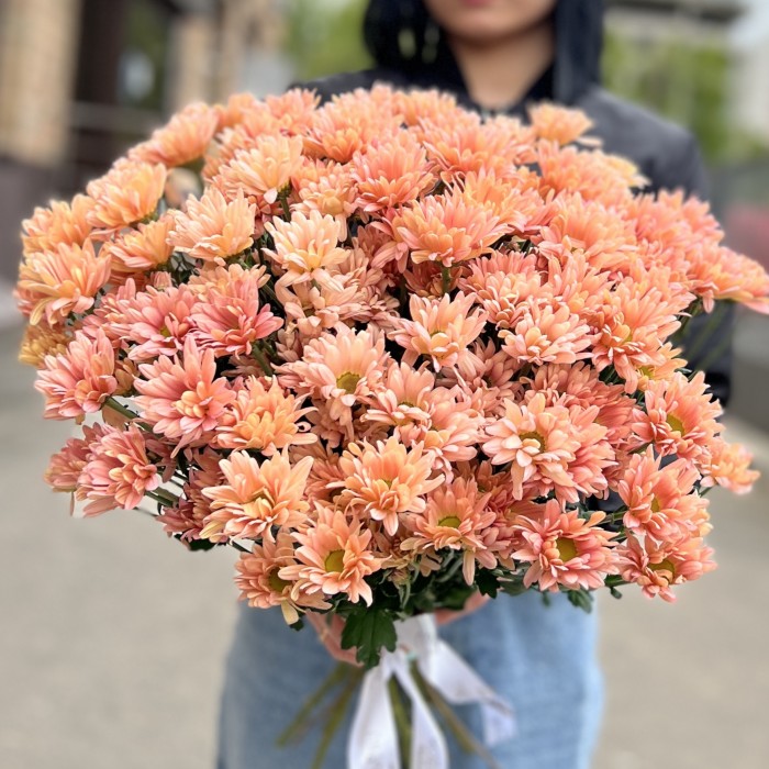 Хризантема кустовая персиковая Салмон