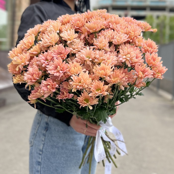 Хризантема кустовая персиковая Салмон