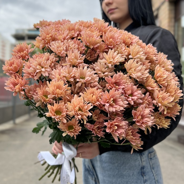 Хризантема кустовая персиковая Салмон