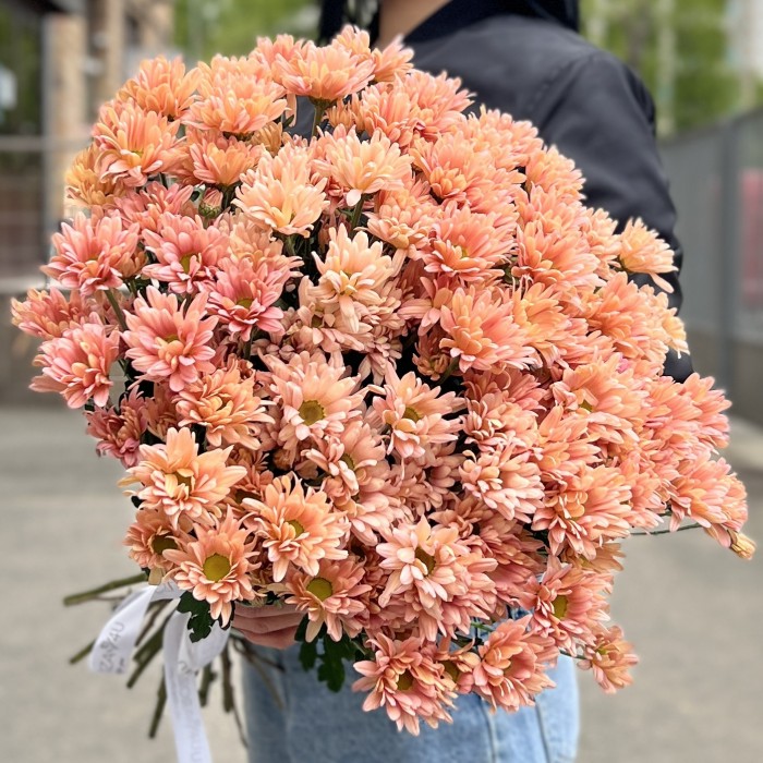 Хризантема кустовая персиковая Салмон