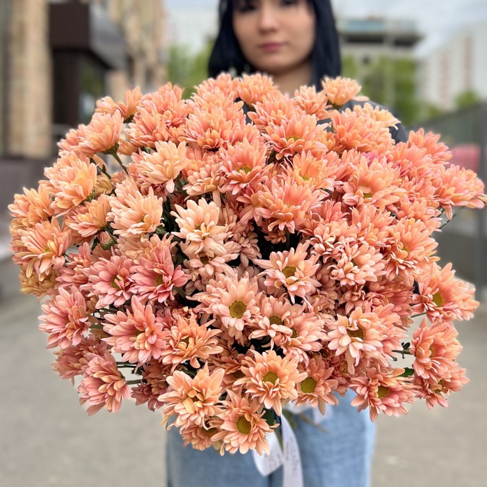 Хризантема кустовая персиковая Салмон