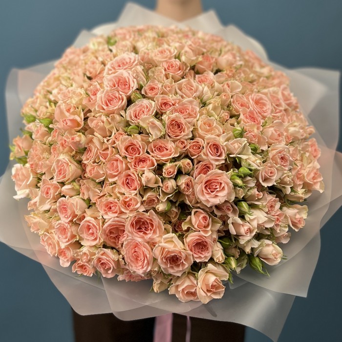 101 кустовая персиковая роза Свит Сара 50 см