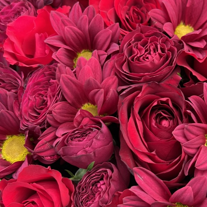 Красные хризантемы и розы в коробке панда