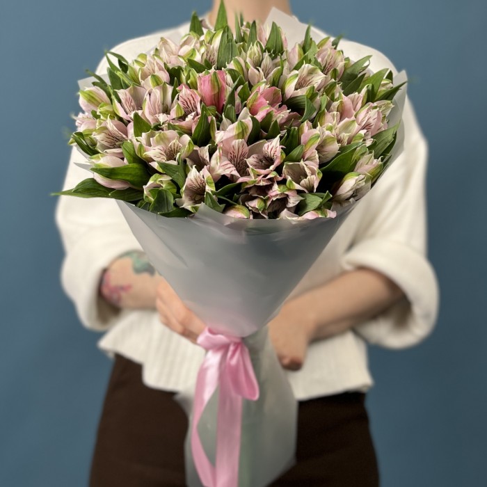 15 бело-розовых альстромерий