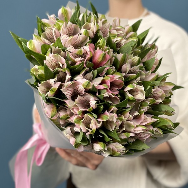 15 бело-розовых альстромерий