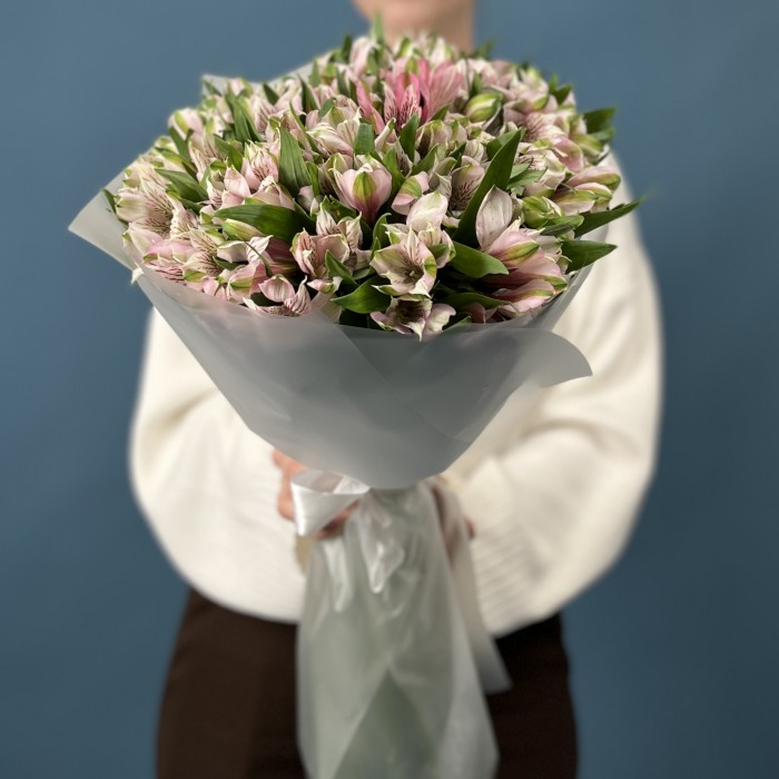 25 бело-розовых альстромерий