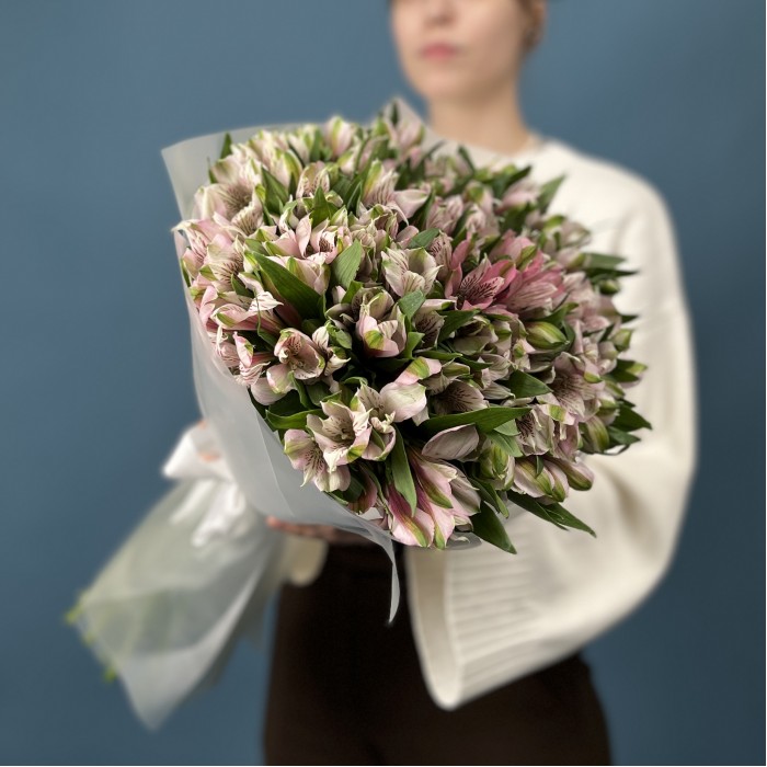 25 бело-розовых альстромерий