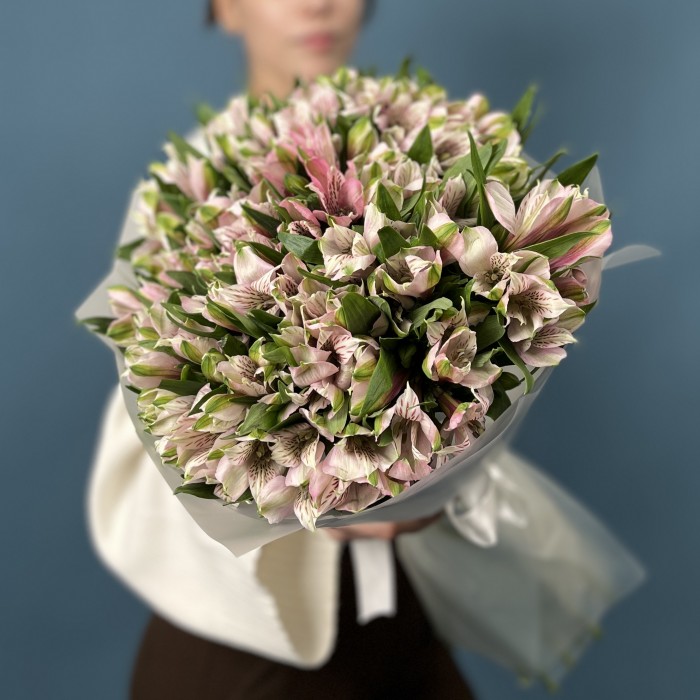 25 бело-розовых альстромерий