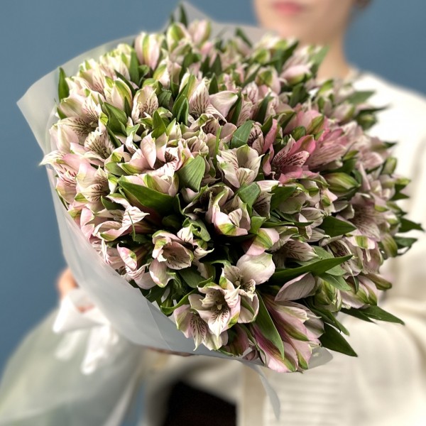 25 бело-розовых альстромерий