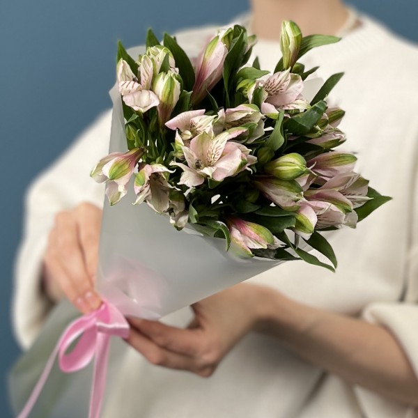 5 бело-розовых альстромерий