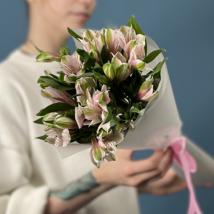 5 бело-розовых альстромерий