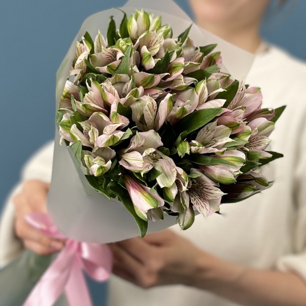 9 бело-розовых альстромерий