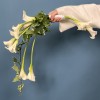 Дуо-Букет невесты Линии любви