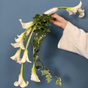 Дуо-Букет невесты Линии любви