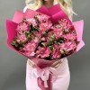 15 альстромерий Фешиониста Софиена