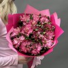15 альстромерий Фешиониста Софиена