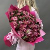 35 альстромерий Фешиониста Софиена