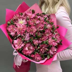 35 альстромерий Фешиониста Софиена