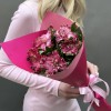 5 альстромерий Фешиониста Софиена