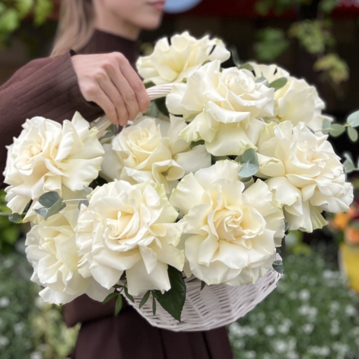 11 пышных роз Мондиаль в корзине