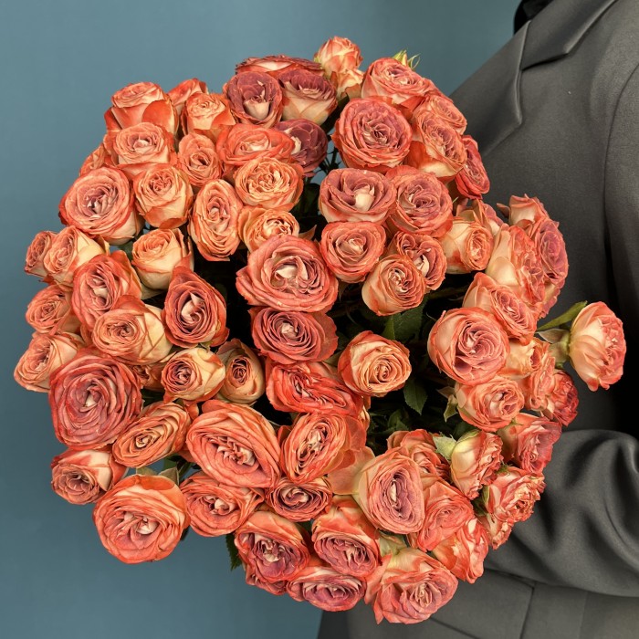 Кустовая Кирпично-белая роза Медия 40 см