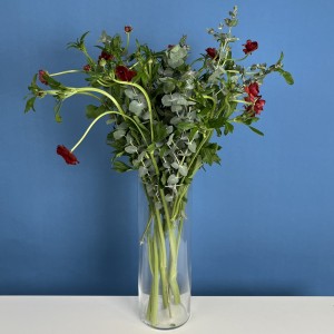 5 красных полевых ранункулюсов с эвкалиптом