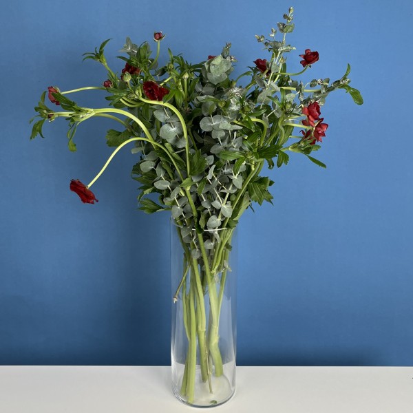 5 красных полевых ранункулюсов с эвкалиптом