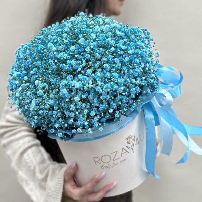 9 голубых гипсофил в коробке
