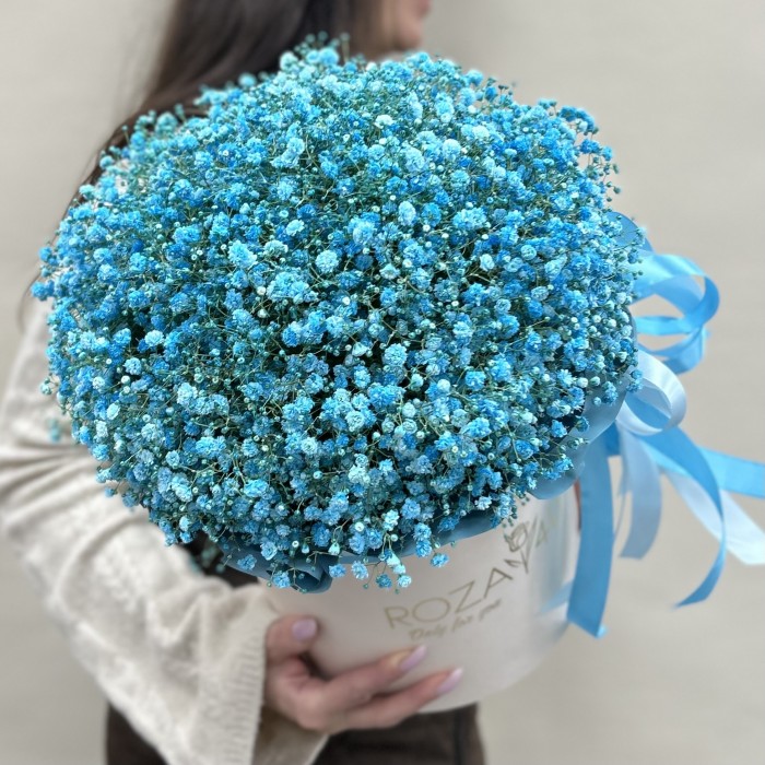 9 голубых гипсофил в коробке
