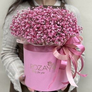 9 розовых гипсофил в коробке