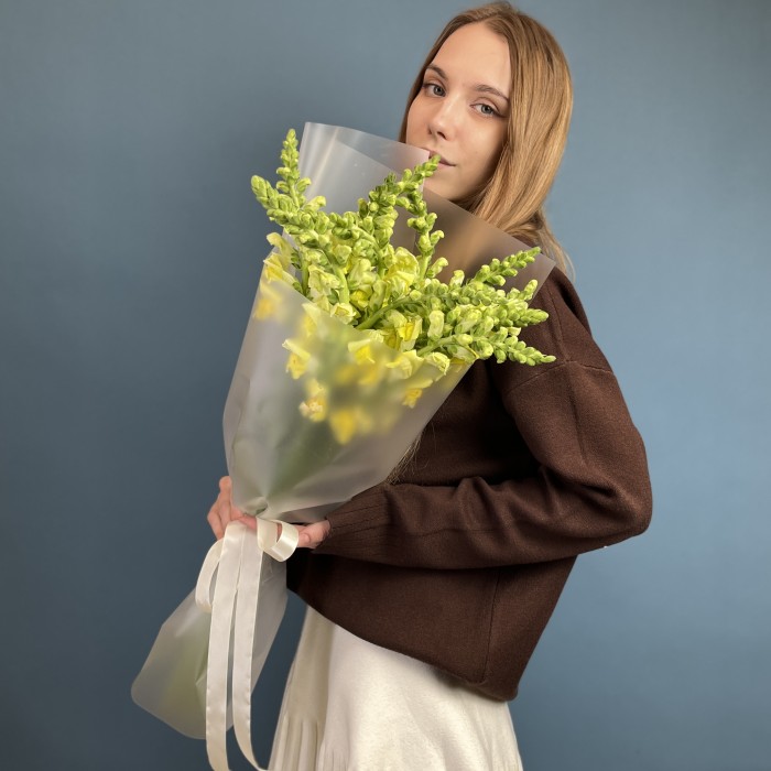 11 желтых антиринумов