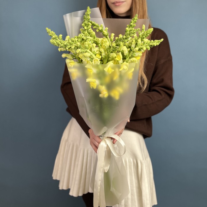 11 желтых антиринумов